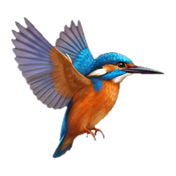 Kingfisher