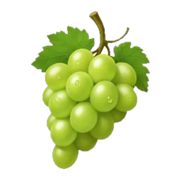 Grapes
